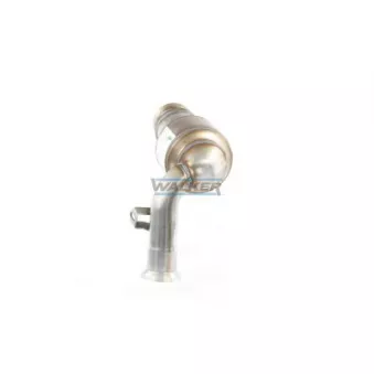 Catalyseur WALKER 28213