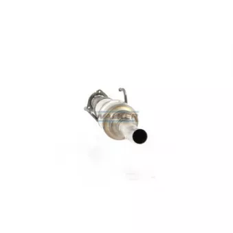 Catalyseur WALKER 28218
