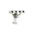 Catalyseur WALKER 28223 - Visuel 1