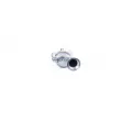 Catalyseur WALKER 28241 - Visuel 3