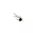 Catalyseur WALKER 28258 - Visuel 3