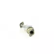Catalyseur WALKER 28286 - Visuel 1