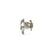 Catalyseur WALKER 28324 - Visuel 1