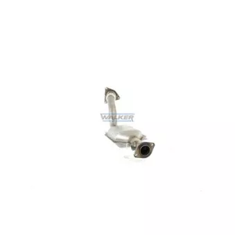 Catalyseur WALKER 28502