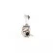 Catalyseur WALKER 28678 - Visuel 1