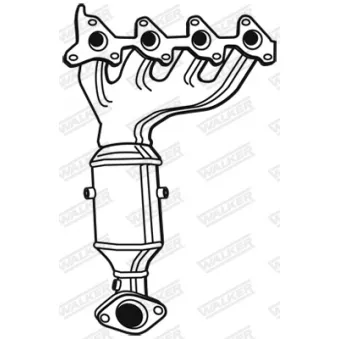 Catalyseur WALKER