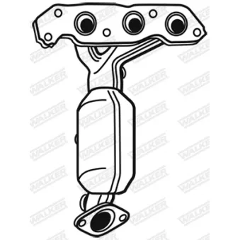 Catalyseur WALKER