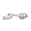Catalyseur WALKER 28743 - Visuel 2