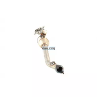 Catalyseur WALKER 28745