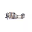 Catalyseur WALKER 28777 - Visuel 2