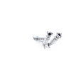 Catalyseur WALKER 28801 - Visuel 3