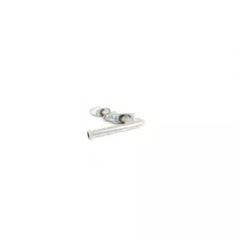 Silencieux central WALKER 70405