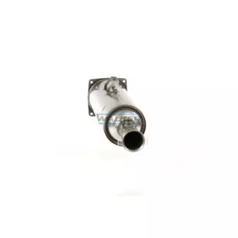 Filtre à particules / à suie, échappement WALKER 73007