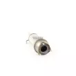 Filtre à particules / à suie, échappement WALKER 73131 - Visuel 3
