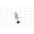 Filtre à particules / à suie, échappement WALKER 73370 - Visuel 2