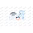 Kit d'assemblage, catalyseur WALKER 87242 - Visuel 2