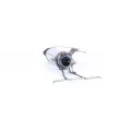 Filtre à particules / à suie, échappement WALKER 93042 - Visuel 3