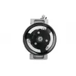 Compresseur, climatisation SANDEN PXE16-1711 - Visuel 2