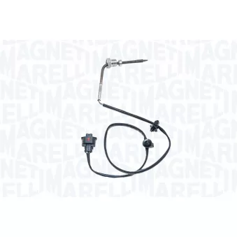 Capteur, température des gaz MAGNETI MARELLI 172000323010