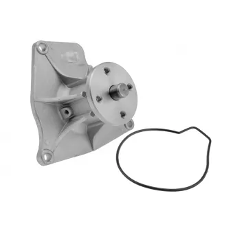 Pompe à eau TEKNÖR CPW-MS-000