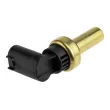 Sonde de température, liquide de refroidissement TEKNÖR ECT-PL-005 - Visuel 2
