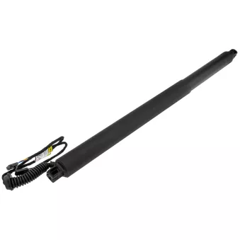 Moteur électrique, hayon arrière gauche TEKNÖR AE-SK-028