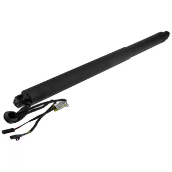 Moteur électrique, hayon arrière droit TEKNÖR AE-SK-029
