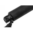 Moteur électrique, hayon arrière droit TEKNÖR AE-SK-029 - Visuel 2