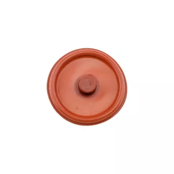 Membrane couvercle de culasse TEKNÖR BPZ-PL-005