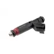 Injecteur TEKNÖR BWP-CH-004 - Visuel 1