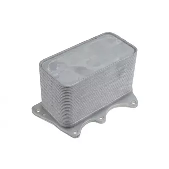 Radiateur d'huile TEKNÖR CCL-BM-046