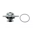 Pompe à eau, refroidissement du moteur TEKNÖR CPW-CH-041 - Visuel 3