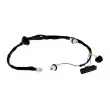 Interrupteur, hayon TEKNÖR EZC-NS-011 - Visuel 1