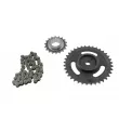 Kit de distribution par chaîne TEKNÖR RZR-CH-006 - Visuel 1