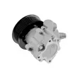 Pompe hydraulique, direction TEKNÖR SPW-LR-009 - Visuel 2