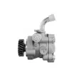 Pompe hydraulique, direction TEKNÖR SPW-MS-002 - Visuel 3