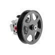 Pompe hydraulique, direction TEKNÖR SPW-MZ-004 - Visuel 1