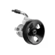Pompe hydraulique, direction TEKNÖR SPW-PL-002 - Visuel 1