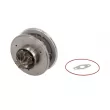 CHRA - Cartouche de turbo EVORON EVCH0079 - Visuel 2