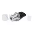 Pressostat, climat VNE 4016002 - Visuel 1