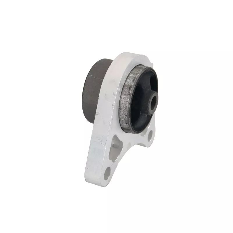 Suspension, corps de l'essieu REINHOCH RH22-5001