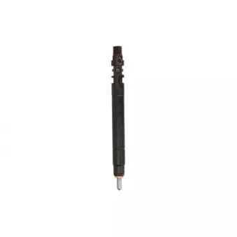 injecteur DIESEL REMAN R00101D/DR