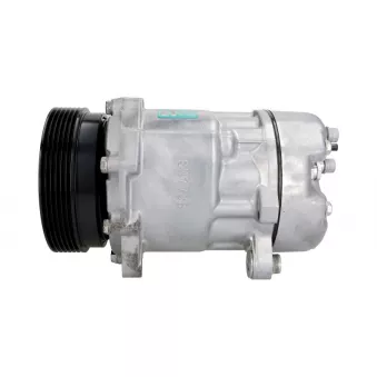 Compresseur de climatisation SANDEN SD7V16-1221