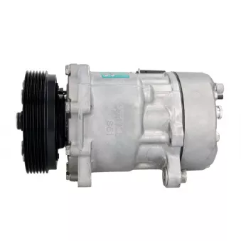 Compresseur de climatisation SANDEN SD7V16-1080