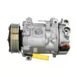 Compresseur de climatisation SANDEN SD7C16-1322 - Visuel 1