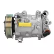 Compresseur de climatisation SANDEN SD7C16-1392 - Visuel 1