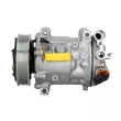 Compresseur de climatisation SANDEN SD7C16-1327 - Visuel 1