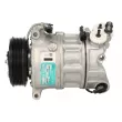 Compresseur de climatisation SANDEN PXC16-1694 - Visuel 1