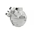 Compresseur de climatisation SANDEN SD7V16-1853 - Visuel 3