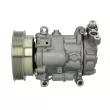 Compresseur de climatisation SANDEN SD6V12-1918 - Visuel 1